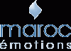 www.maroc-emotions.com/es/riads-marrakech.html