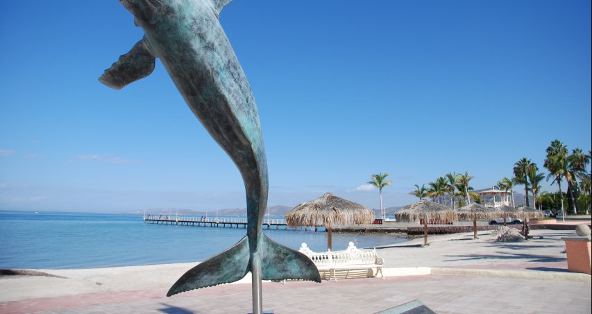 Autour de la Paz 14