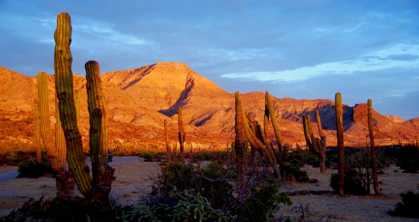 Coucher de Soleil 07