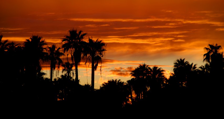 Coucher de Soleil 06