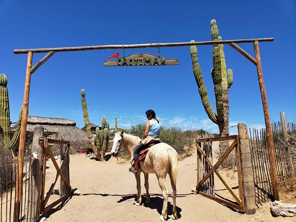 Entrée du Ranch cactimar - Basse Californie Mexcapade