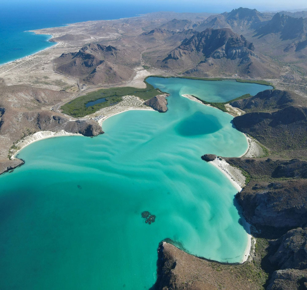 Aquarium naturel Mer de Cortez