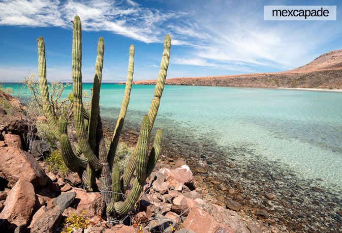 Bienvenue en Basse Californie ! | Mexcapade Bienvenue en Basse Californie ! | Mexcapade
