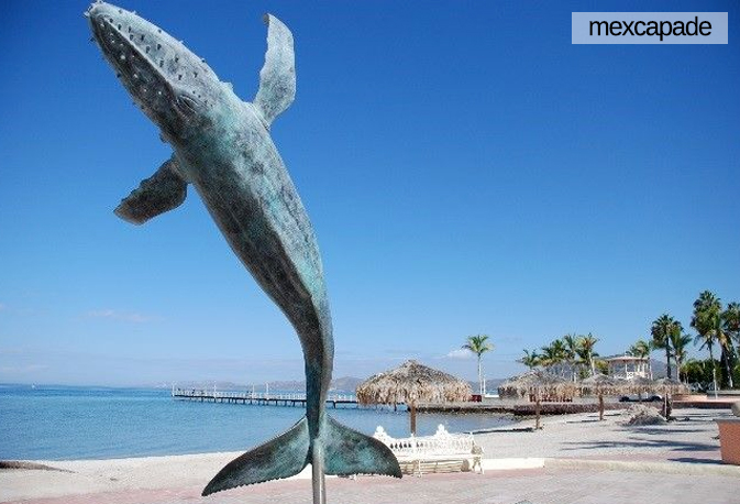 La Paz Basse-californie | Mexcapade