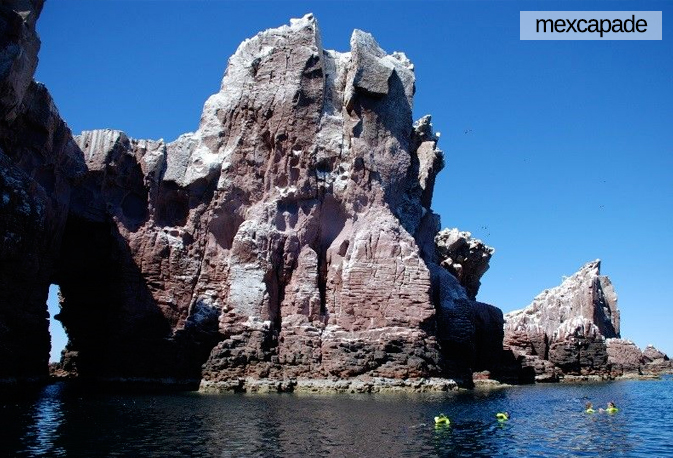 Activité nautique baja | Mexcapade